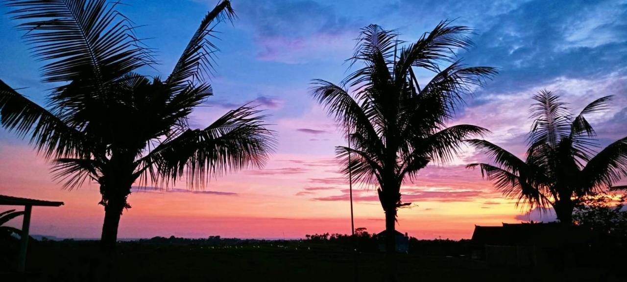 37 Sunset Village Bali Canggu Zewnętrze zdjęcie
